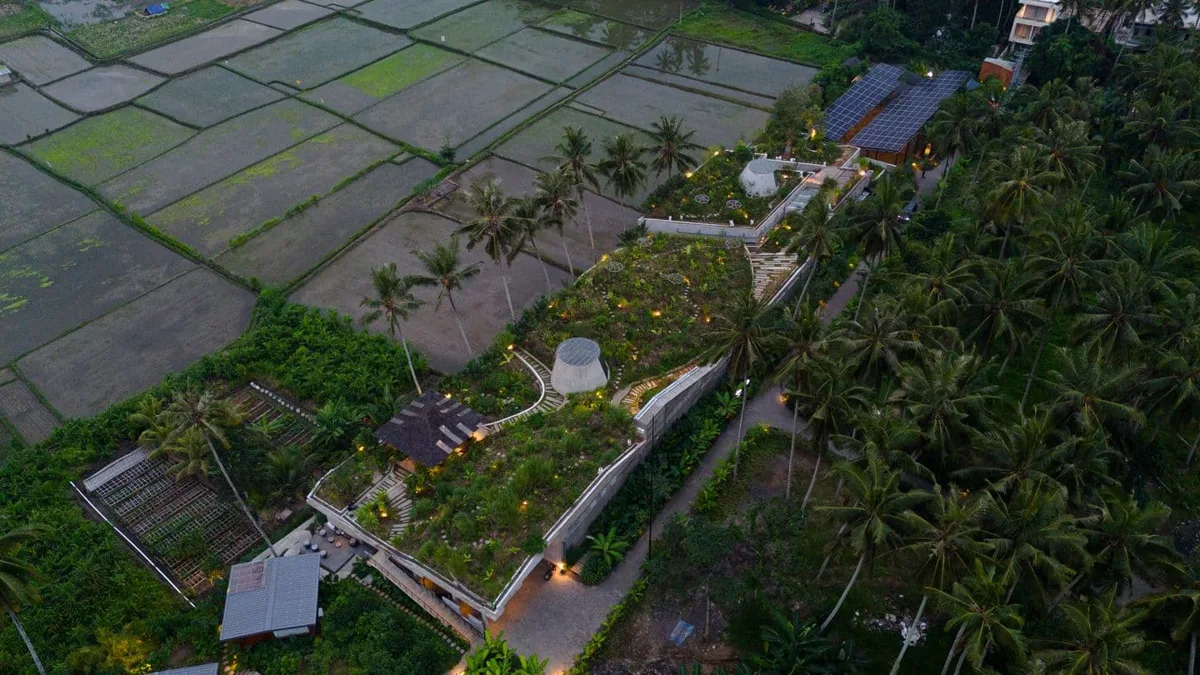 Aerial view of the rooftop garden at Locavore NXT